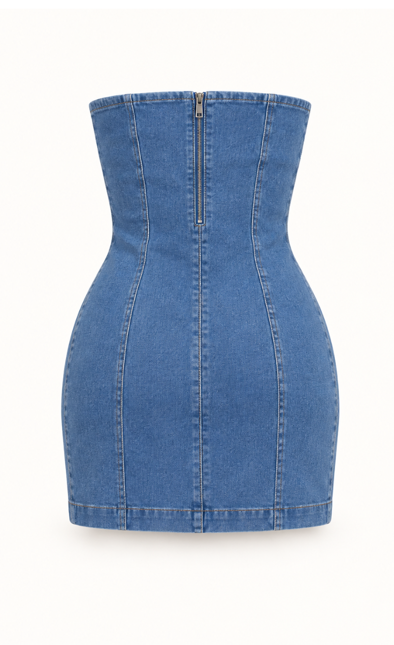 The Dakota Denim Mini Dress